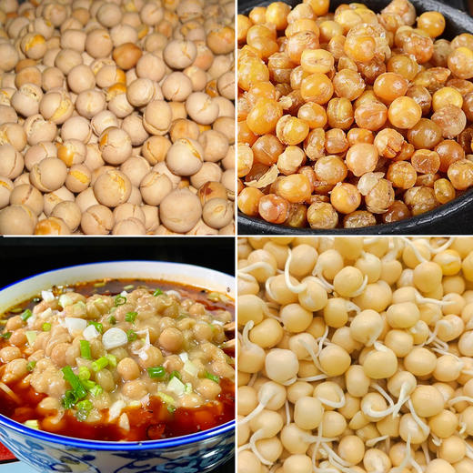 【食品】吉顺号农家白豌豆生豌豆可发芽当年新豆500g/袋 商品图2