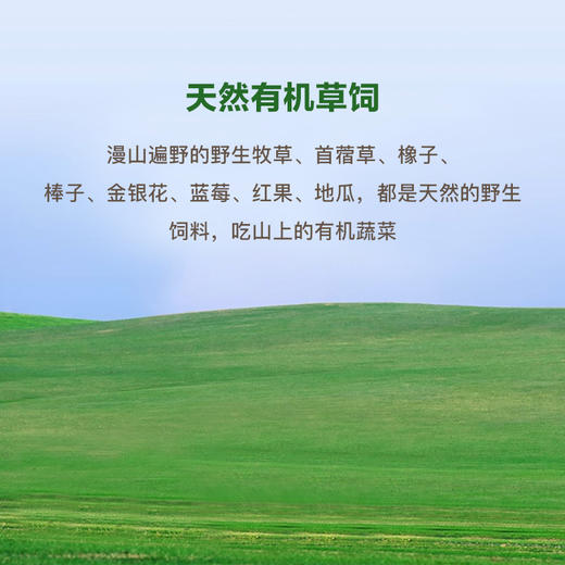 有机猪油｜山林里有机草饲 黑猪油 家用炒菜拌饭烘焙食用动物油 500g 商品图2
