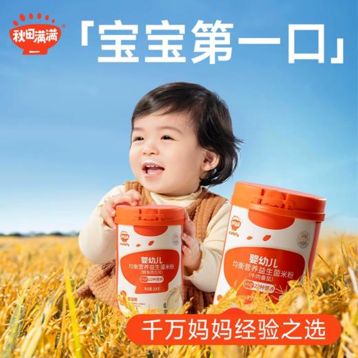 秋田满满 高铁米粉米糊婴幼儿大米粉宝宝辅食谱营养米粉 商品图0