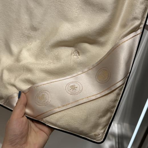 太湖100%蚕丝被 商品图3