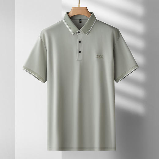 【桑蚕丝】【DDS】大依优型大码男装短袖POLO衫透气加肥加大大号半袖体恤上衣男士胖子 商品图3