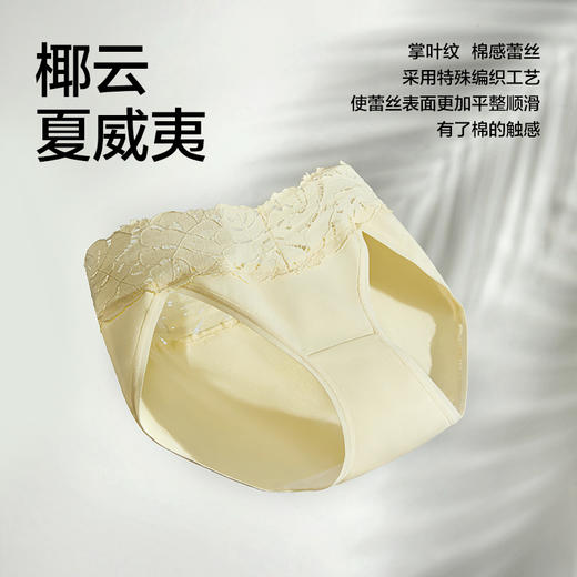 有棵树纯棉蕾丝中腰抗菌甜美性感女士内裤2条装-U3136 商品图1