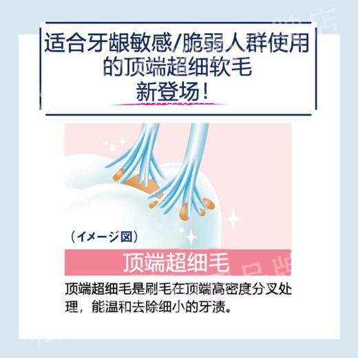 皓乐齿高级超细毛牙刷1支(软毛) 商品图5