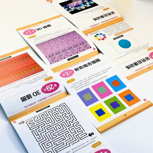 【图书】《儿童视力改善图册》| 40年临床经验，3D插图、彩色后像训练…每天1分钟，儿童防控近视，成人缓解眼疲劳，全家受益。 商品图6