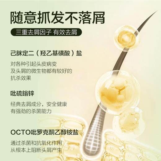 热卖！头皮清洁大师！【超值2瓶装赠2支护手霜】pote柏缇茶树去屑洗发露 蓬松控油 500ml*2瓶 商品图2