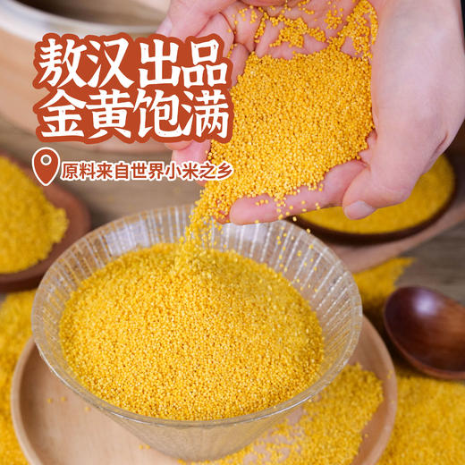 探寻初味-敖汉 金苗黄小米  5斤 商品图2