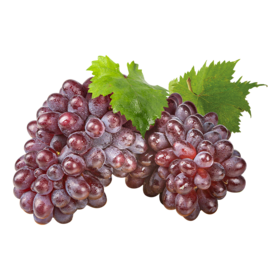 新鲜水果 鲜甜多汁 茉莉香葡萄 500g