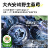 【小蓝袋】有机野生蓝莓原浆 大兴安岭蓝莓全果鲜榨30ml*7袋便携装 商品缩略图1