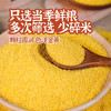 探寻初味-敖汉 金苗黄小米  5斤 商品缩略图3