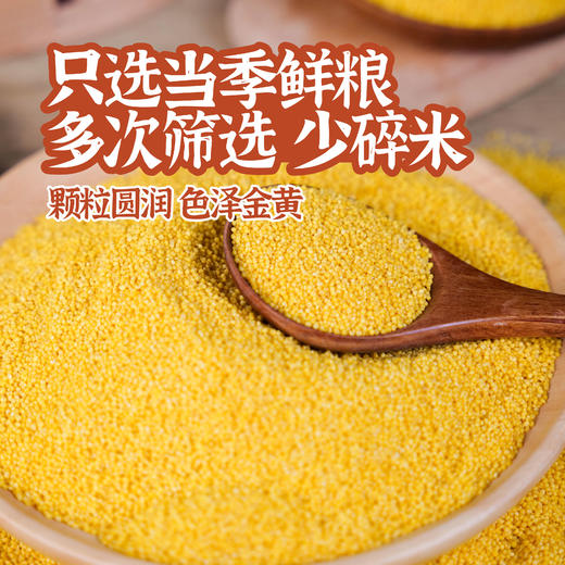 探寻初味-敖汉 金苗黄小米  5斤 商品图3