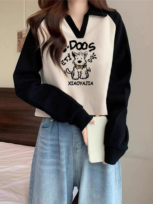 裁缝学苑AQ439插肩袖卫衣纸样女装新款撞色翻领上衣样板版型 商品图4