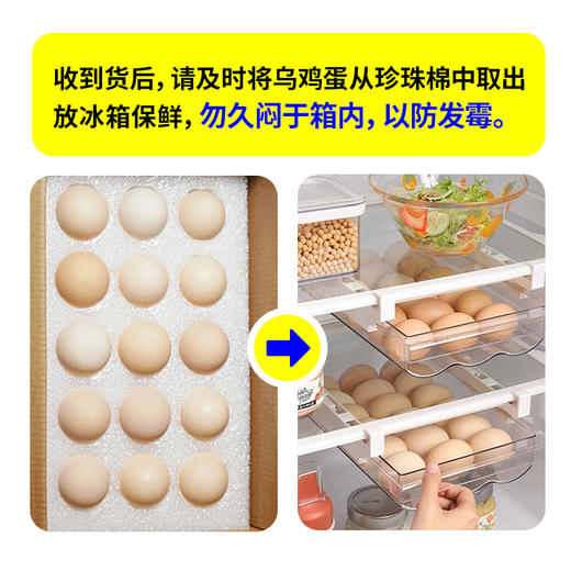 天然叶酸更营养【原种泰和乌鸡蛋】国家地理标志产品 科学精细化饲养 营养丰富 蛋黄细腻 口感软糯 可生食 孕妇宝宝放心食用 商品图3