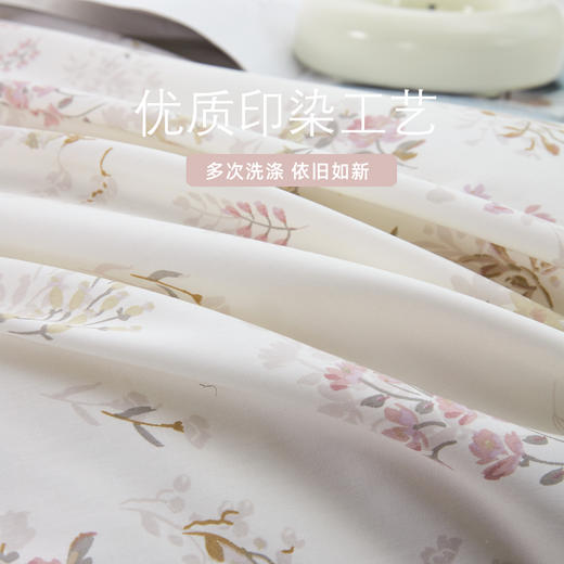 流连春色新疆好棉 印花四件套 四季可用 商品图2