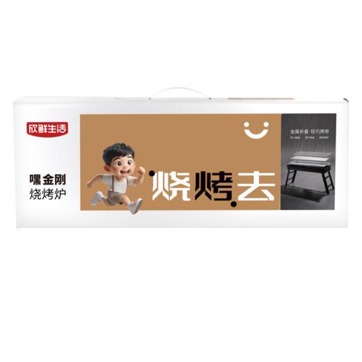 欣鲜生活嘿金刚折叠烧烤炉7665 商品图0