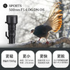 （联系客服享优惠价+赠品）适马（SIGMA）500mm F5.6 DG DN OS ｜Sports 全画幅 超远摄定焦镜头 打鸟拍荷花 商品缩略图1