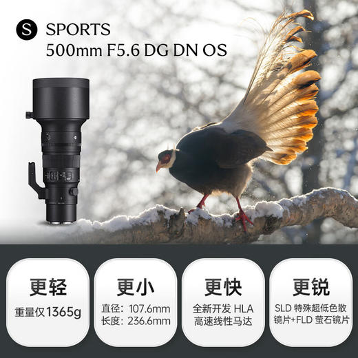 （联系客服享优惠价+赠品）适马（SIGMA）500mm F5.6 DG DN OS ｜Sports 全画幅 超远摄定焦镜头 打鸟拍荷花 商品图1