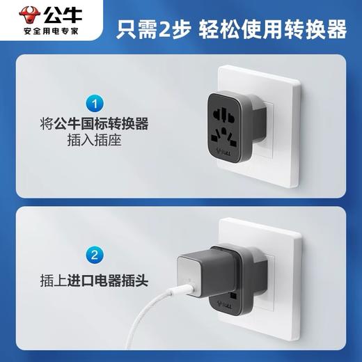 公牛国标转换器插座 插头万能孔插板转换头英欧德美澳标日本韩国香港版境外电器转内地使用 1个 商品图4