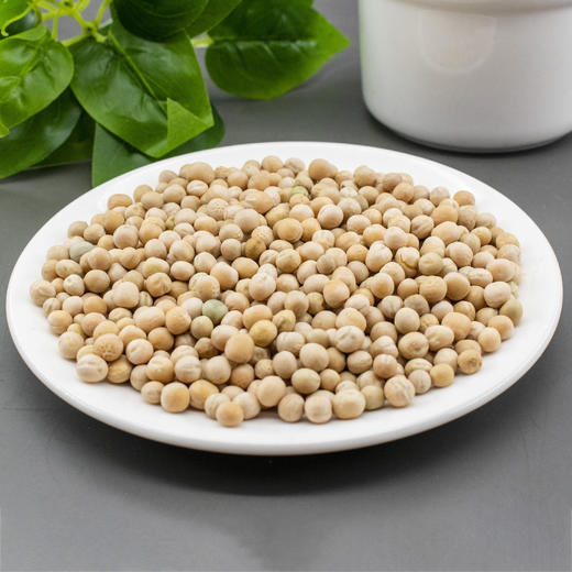 【食品】吉顺号农家白豌豆生豌豆可发芽当年新豆500g/袋 商品图3