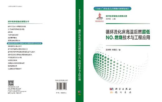 循环流化床高温后燃超低NOx燃烧技术与工程应用 商品图3