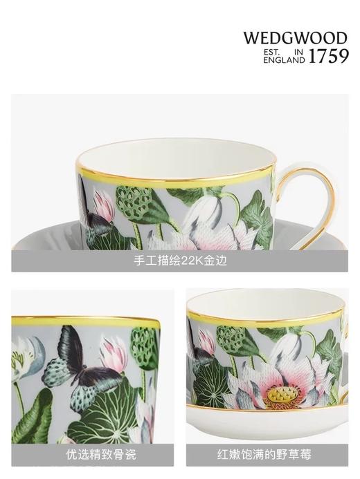 【WEDGWOOD】威基伍德 漫游美境睡莲绮梦骨瓷茶杯碟礼盒 商品图2