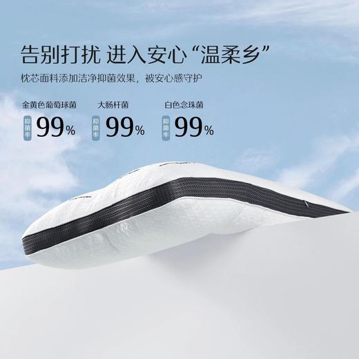 水星家纺 悦动·分区床上用品 舒适睡眠枕头艾香抑菌对枕 商品图3