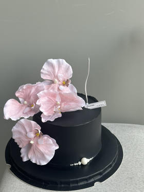 「女士」黑色蝴蝶兰ins 4寸 蝴蝶兰是假花