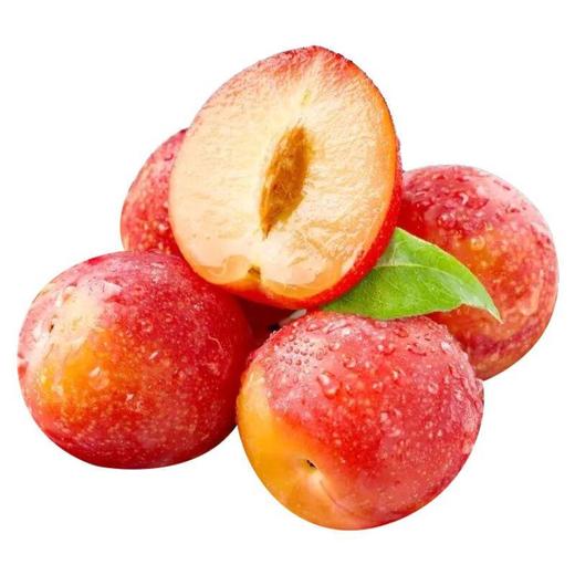 粉红李 约500g /份 商品图0