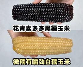 组团