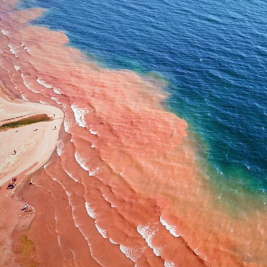 抚仙湖环湖奇遇|云南昆明·抚仙湖1日环游【go小团】 商品图3