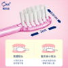 皓乐齿高级超细毛牙刷1支(软毛) 商品缩略图2