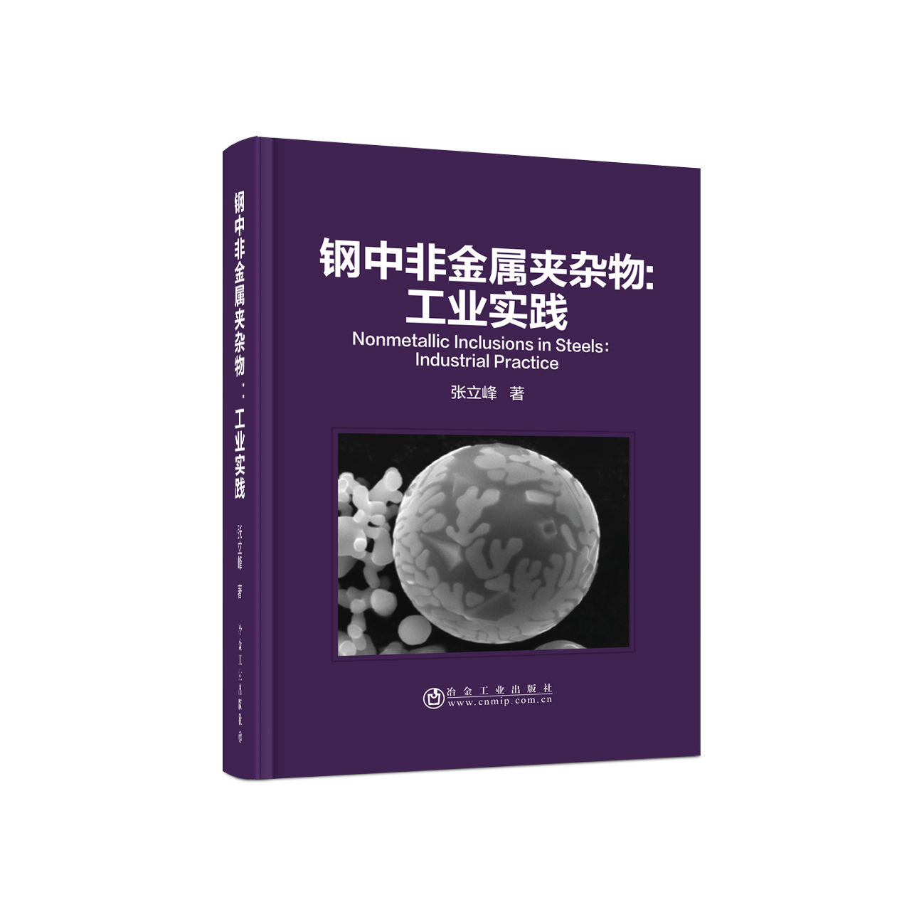 钢中非金属夹杂物：工业实践/张立峰