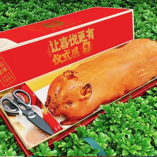 鲤妤·Lucky pig🐽 烧乳猪 商品图3