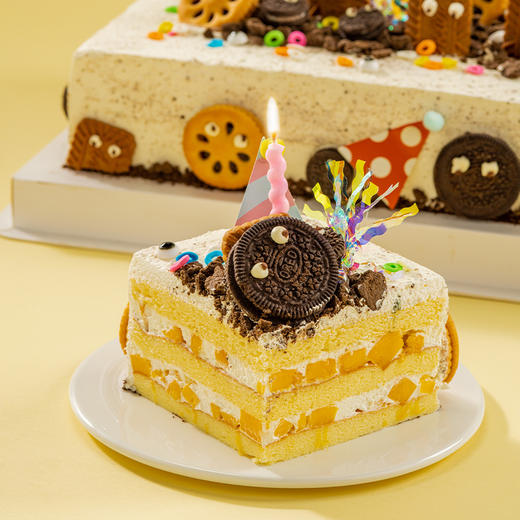 定制款E 商品图3