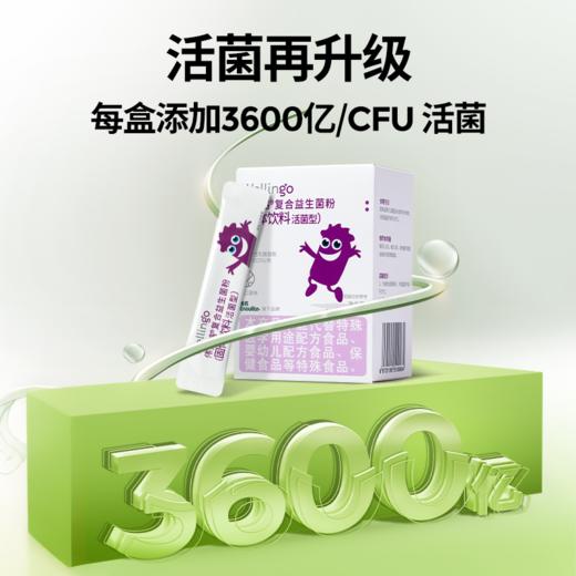 伟灵格复合益生菌粉（固体饮料活菌型）30条 商品图3
