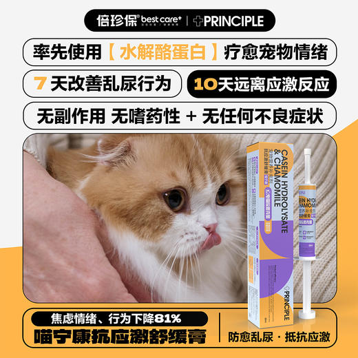 倍珍保喵宁康抗应激舒缓膏 商品图1