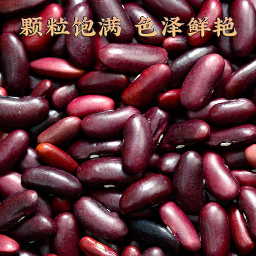 【食品】红腰豆新货云南本地红芸豆大红豆子500g/袋 商品图3