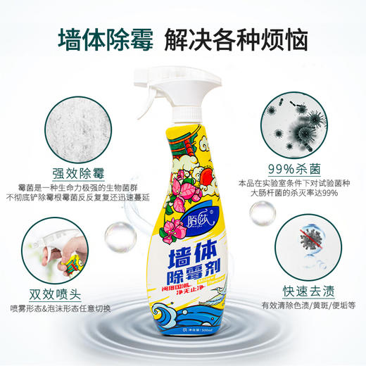 陌莎墙体除霉剂 墙体除霉剂 白墙家用墙面 去霉斑清洁剂发霉去霉神器 【家清品牌专场合集】 商品图2