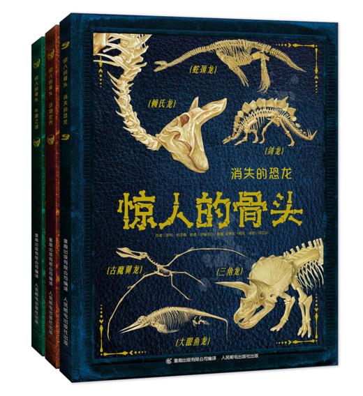 【童趣】惊人的骨头 共3册 恐龙 动物 百科 商品图0