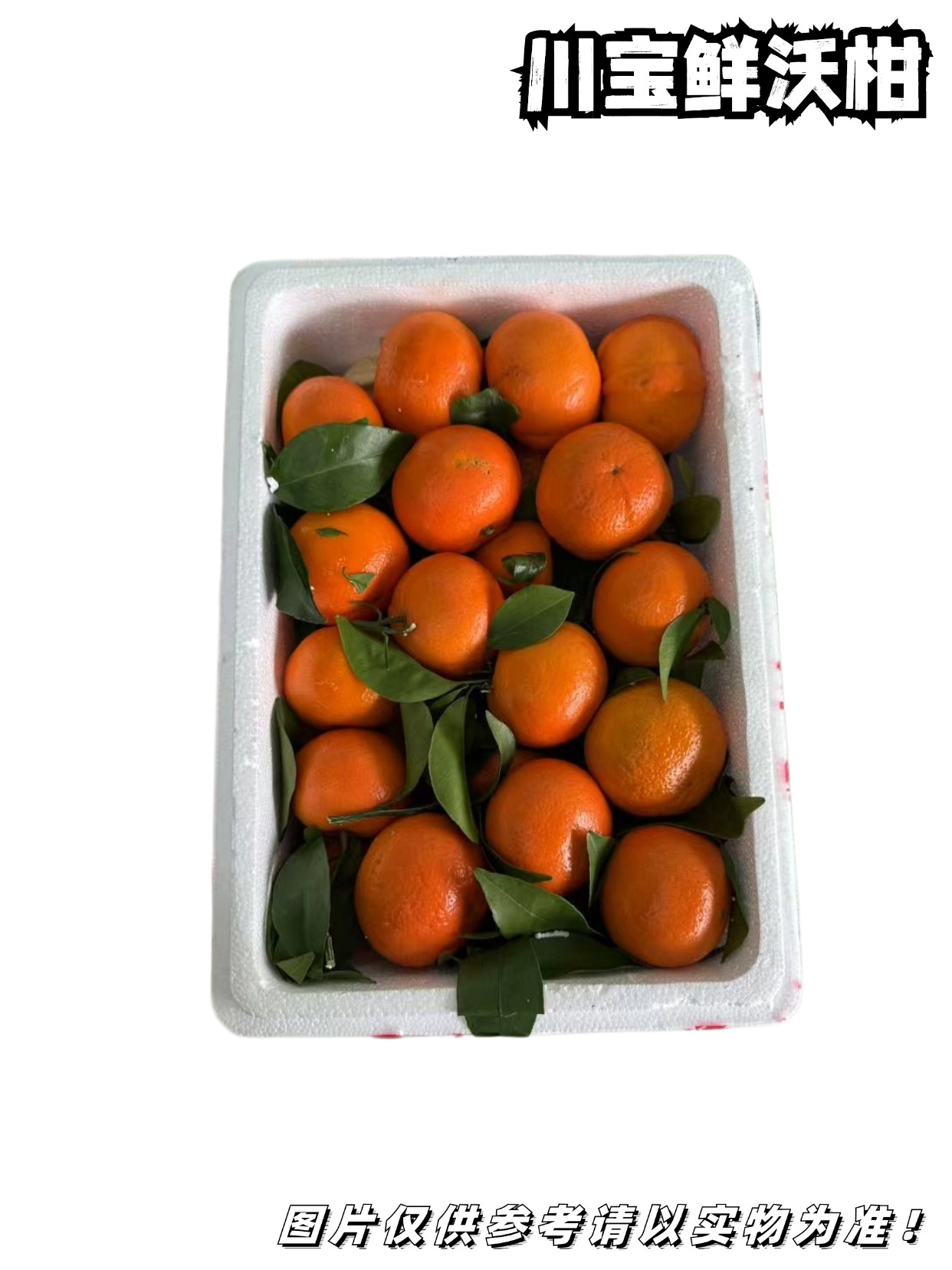 川宝【无核】鲜沃柑  一斤3-4个左右