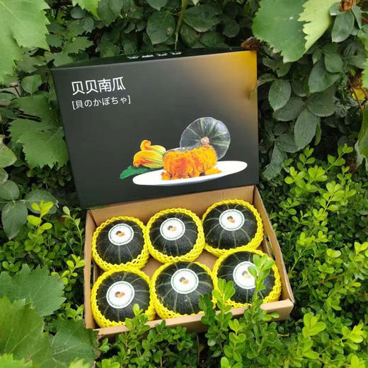 山东贝贝南瓜 净重3-5斤装 板栗味 粉糯香甜 粉糯低热量 辅食粗粮 商品图11