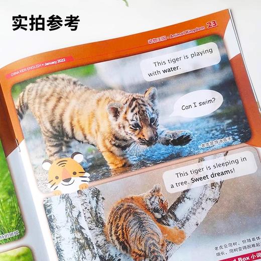 中国少年儿童英语报-2025年 商品图2