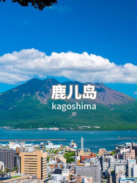 【皇家加勒比游轮海洋赞礼号】5月6日出发东亚巡礼9晚10 天 商品图6