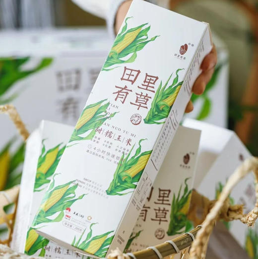 田里有草甜糯玉米真空袋装中通快递包邮下单从长春发货 商品图2