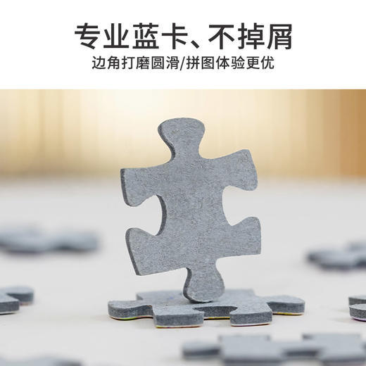 TOi图益-潮玩拼图系列-金色许愿池-1000片-分包款 商品图4