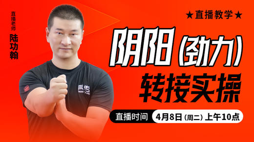 阴阳（劲力）转接实操——直播教学（陆师亲授） 商品图0