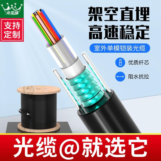 爆款★热销【室外@铠装光缆】4芯监控单模光纤GYXTW中心束管6芯8芯12芯光纤线钢丝光纤线光缆铠装室内外户外4芯6芯8芯单模中心束金属管式多模12芯24芯光钎线缆光缆线工程架空 商品图0