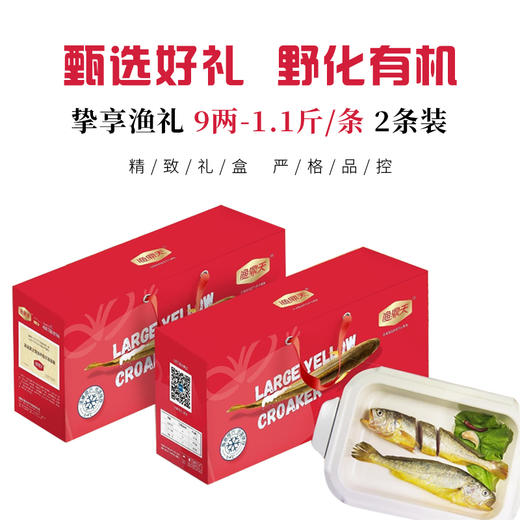 【缴费有礼】渔鼎天冰鲜野化大黄鱼9两-1.1斤/条*2 商品图0