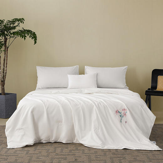 丝享新中式山珍丝蚕丝夏被：雅禾 商品图0