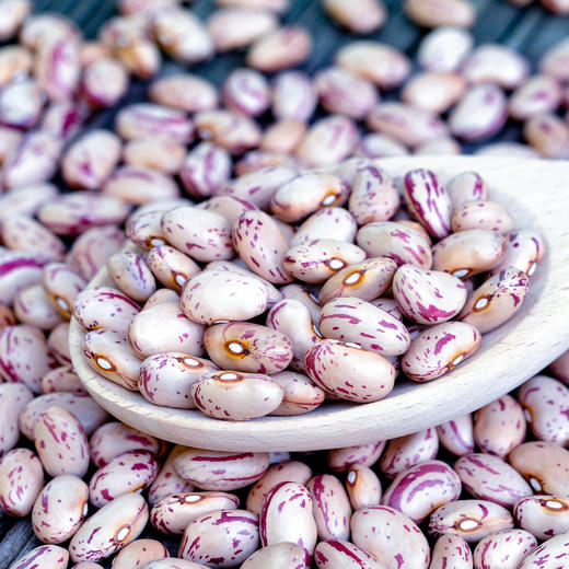 【食品】雀蛋豆云南农家自种新豆子花芸豆花生豆杂粮粥食材500g/袋 商品图4