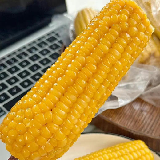 田里有草甜糯玉米真空袋装中通快递包邮下单从长春发货 商品图0